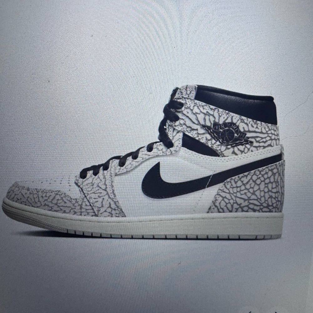 Air Jordan Sneakers with Elephant Print